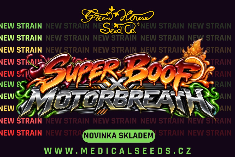 SUPER BOOF X MOTORBREATH