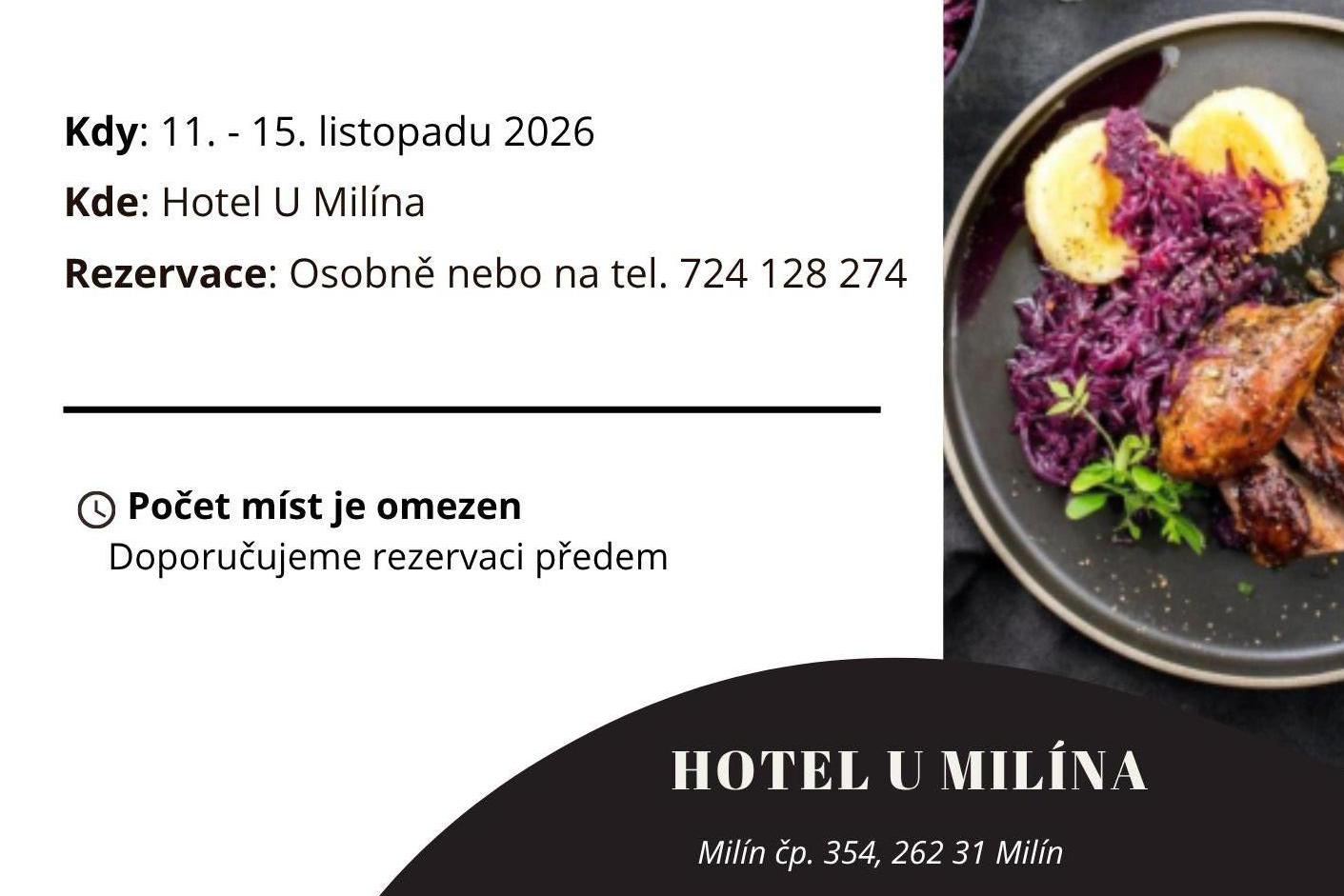 Svatomartinská husa