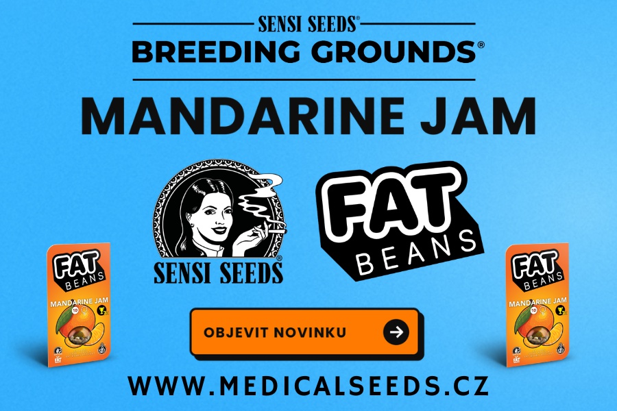 Mandarine Jam - Sensi Seeds