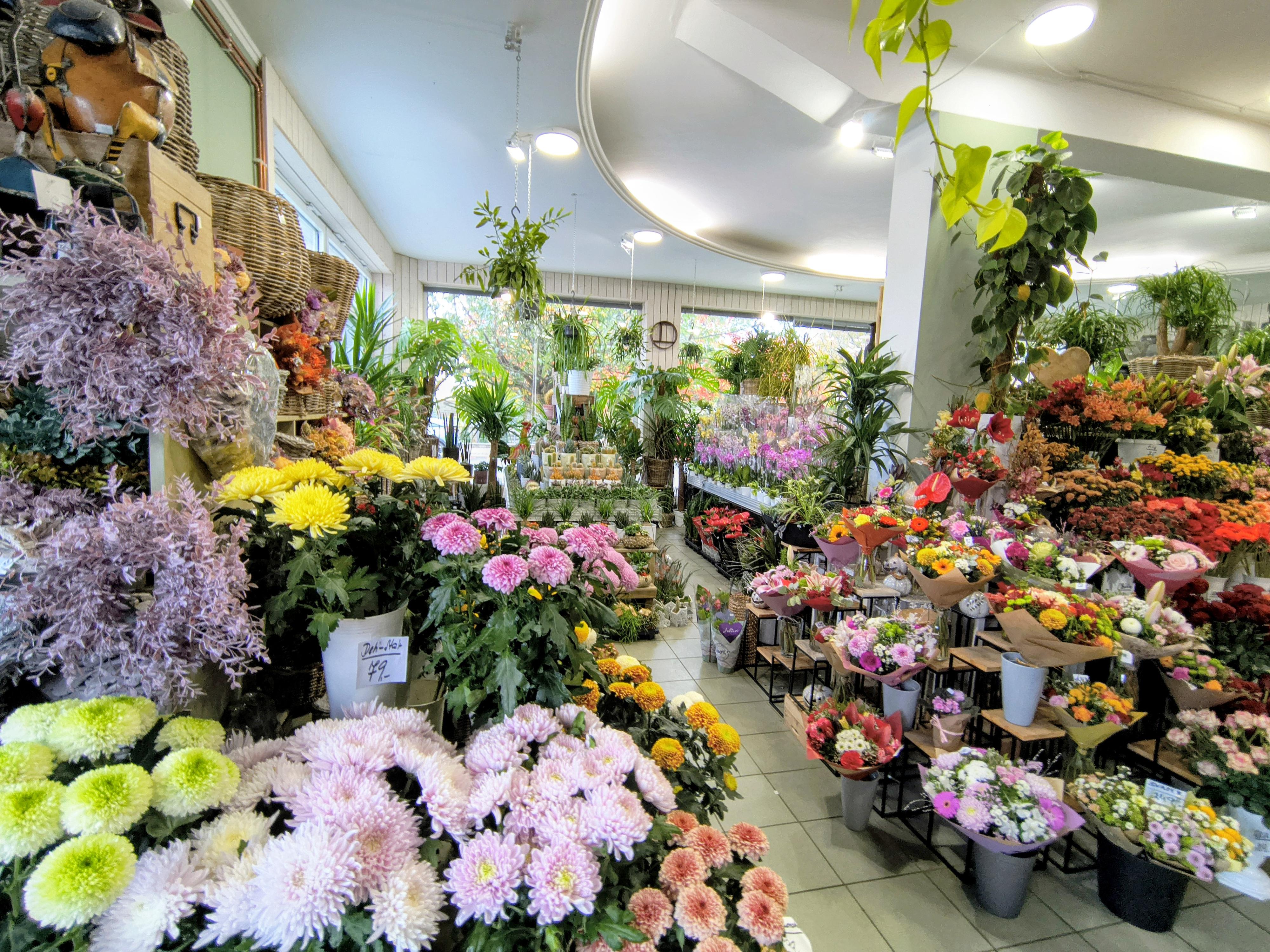 Květiny E-flora