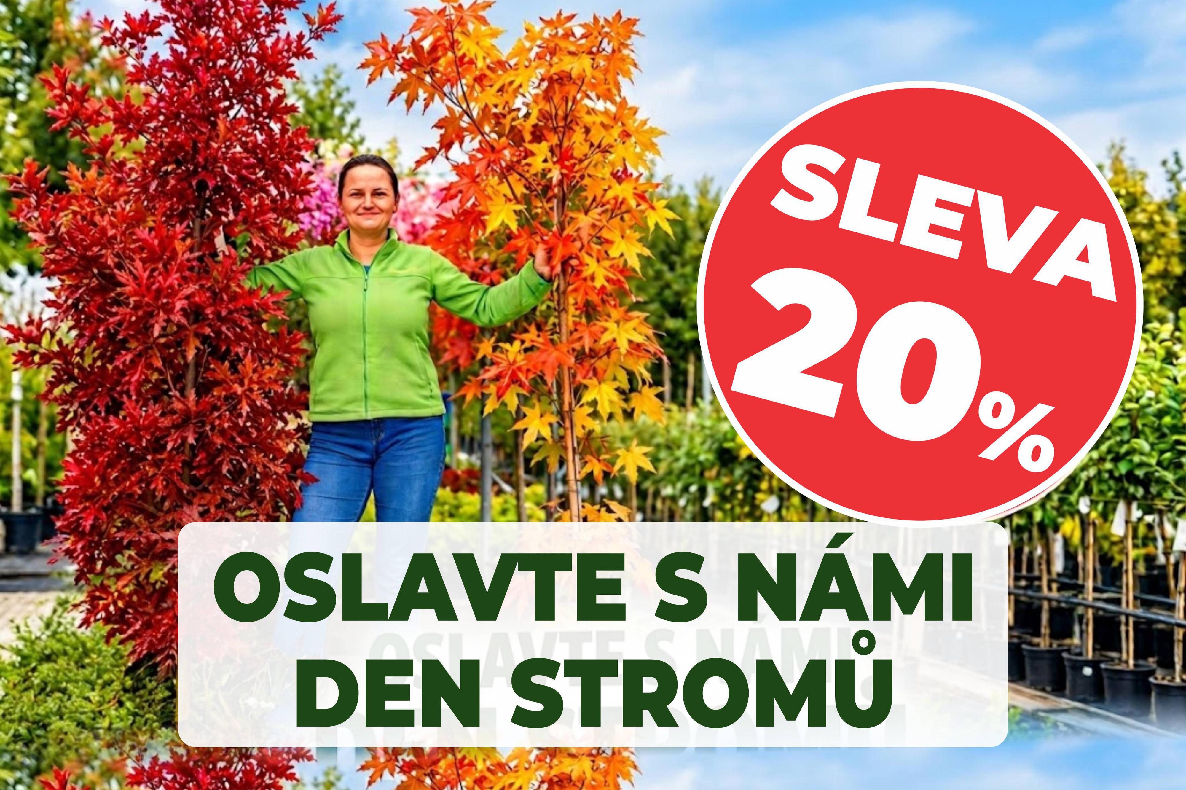 DEN STROMŮ
