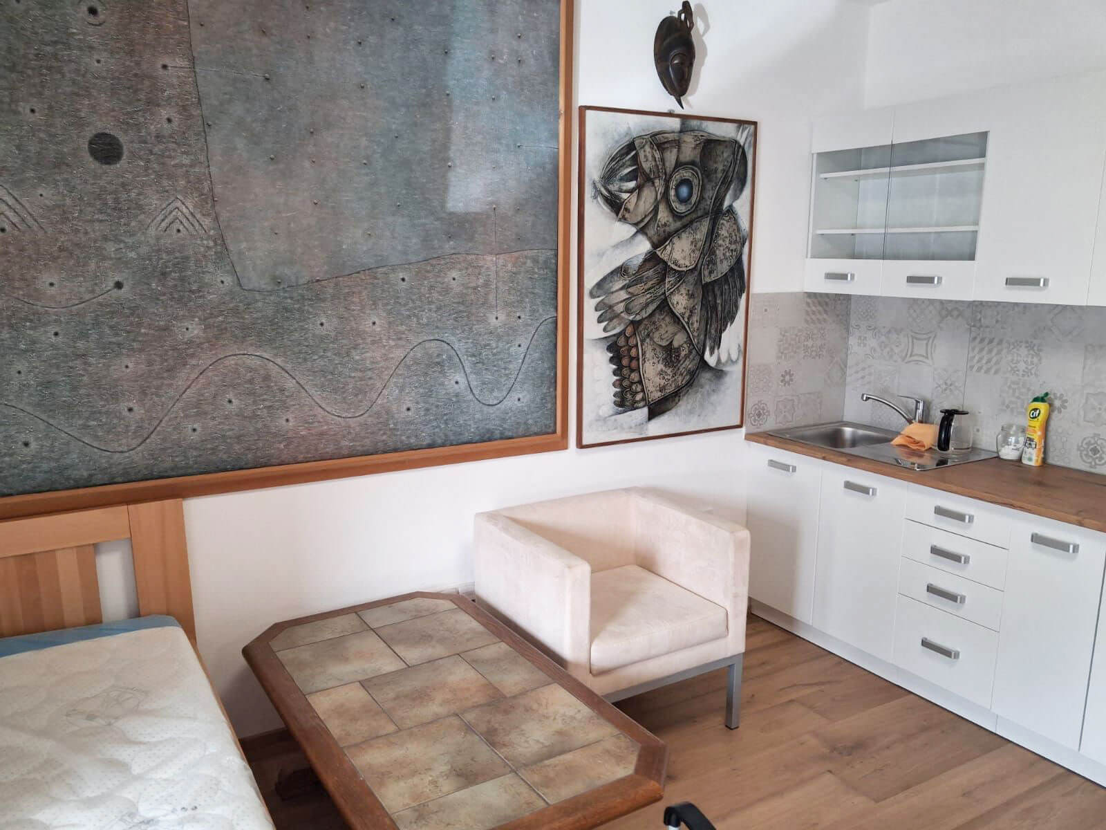 Detoxikační wellness - ZES Brno, a.s. foto 6