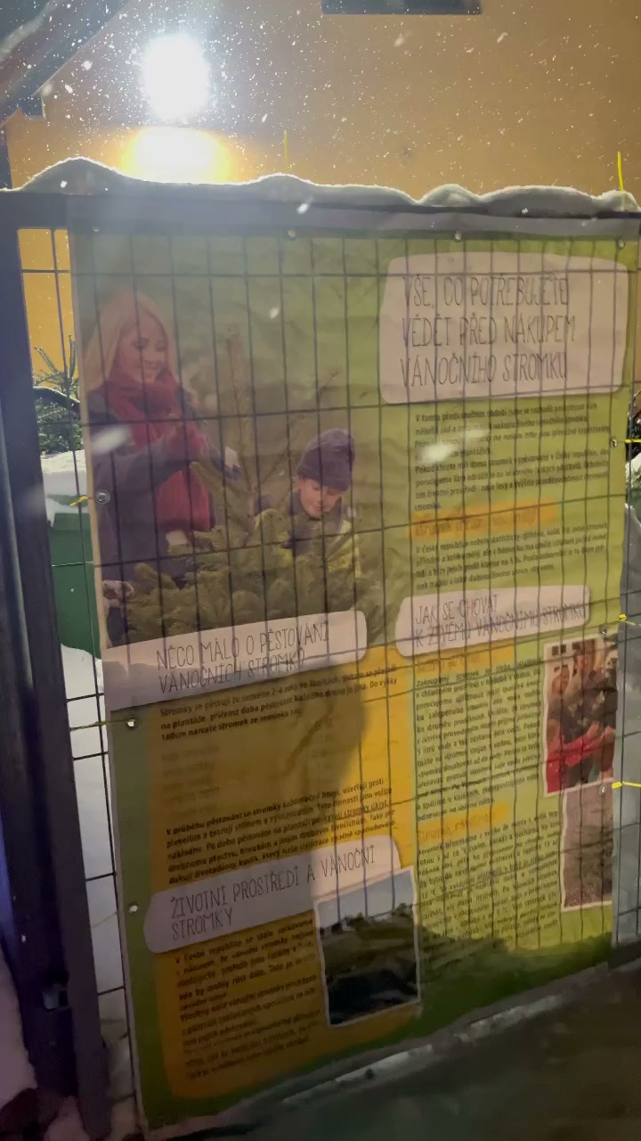 Prodej Vánočních stromků přímo od pěstitelé foto 2 (náhled videa)