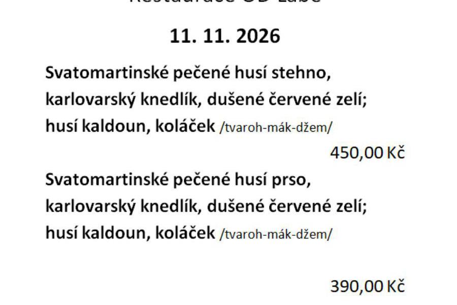 Svatomartinské husí hody
